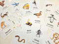 20 Animal Movement Cards, Movement Activity, Action Cards, Circle Time, Educational Preschool, Calm Down Activity, Montessori Flashcards
