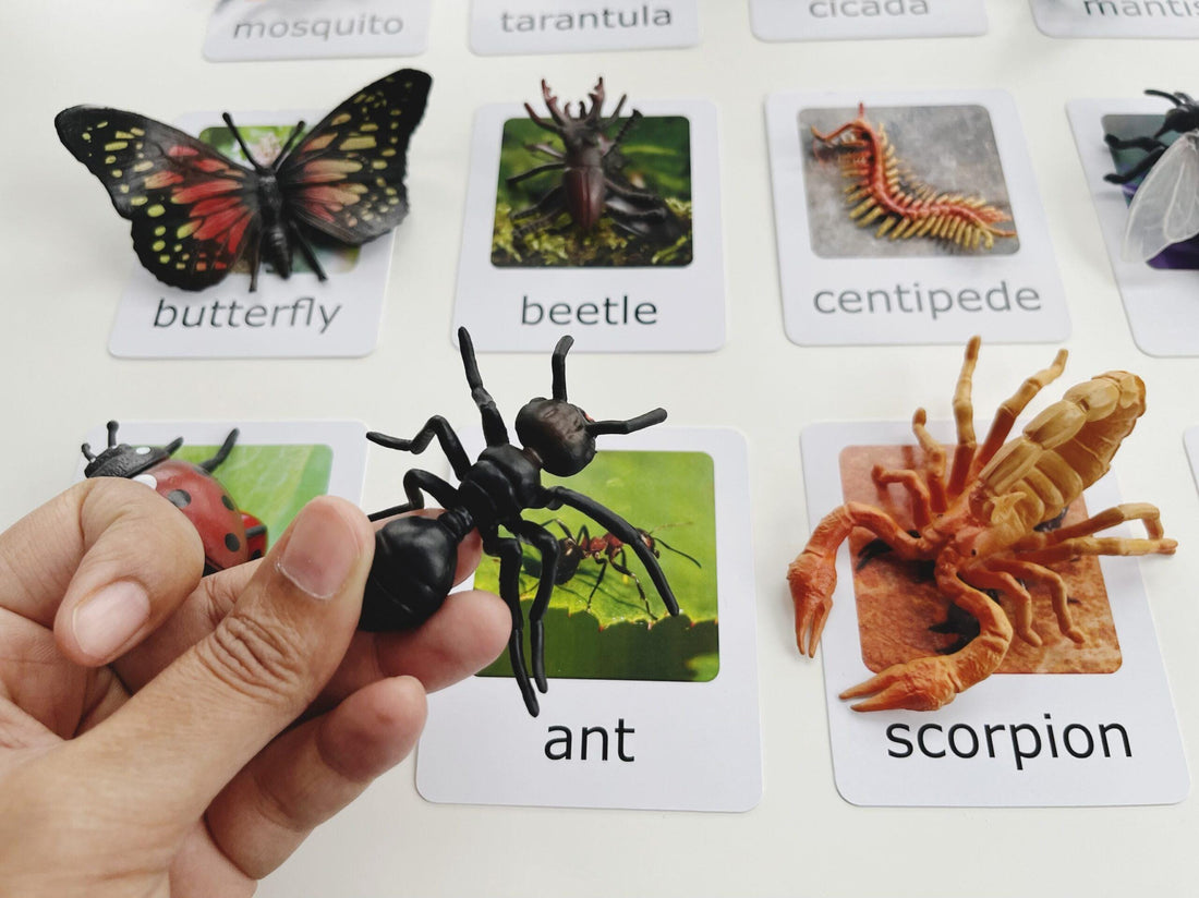 Montessori Insects Matching Set – Figurines with Cards | Montessori Sorting Activity | Montessori Setup for Classrooms and Homeschooling