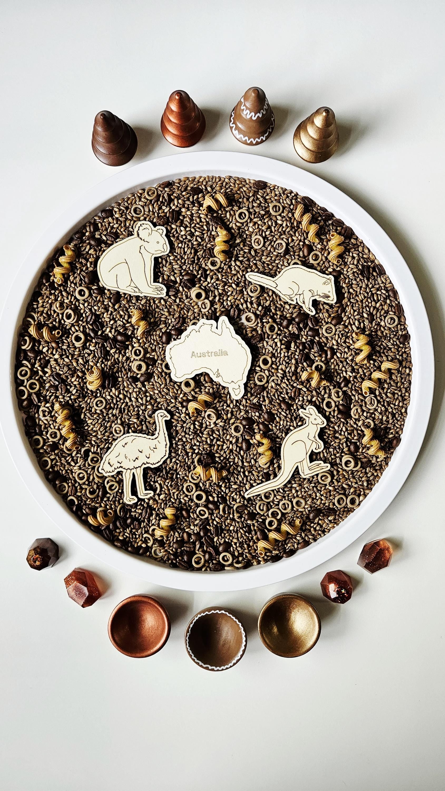 Continent and Animal Set(Hand Drawn)