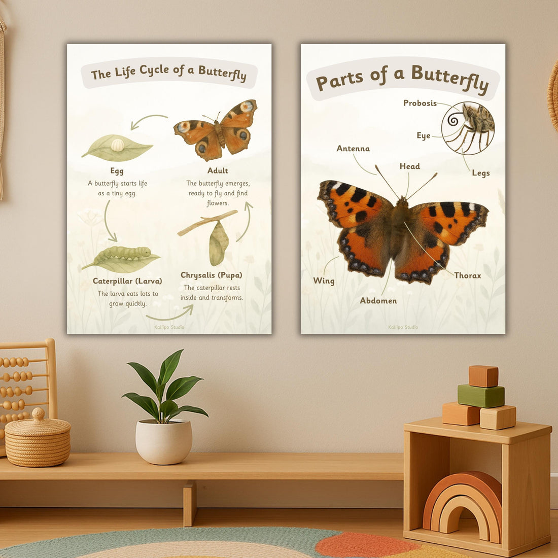 Butterfly Life Cycle Poster Educational Nature Print Butterfly Life Cycle Classroom Display EYFS Teacher Resource Exploring Nature BB01