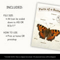 Butterfly Life Cycle Poster Educational Nature Print Butterfly Life Cycle Classroom Display EYFS Teacher Resource Exploring Nature BB01