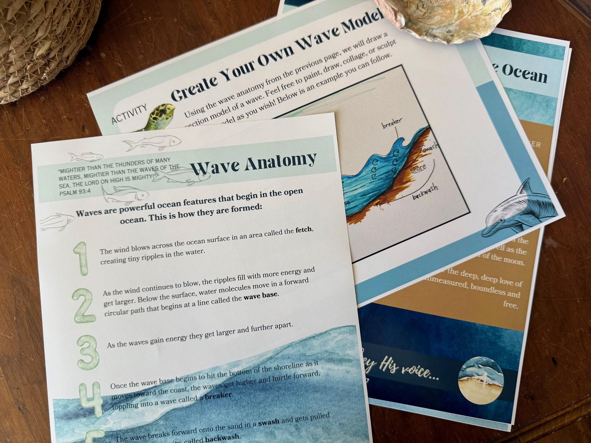 Homeschool Science OCEANS Unit- Oak & Sapling God of All Creation OCEANOGRAPHY Science Elementary k8 Homeschool Unit