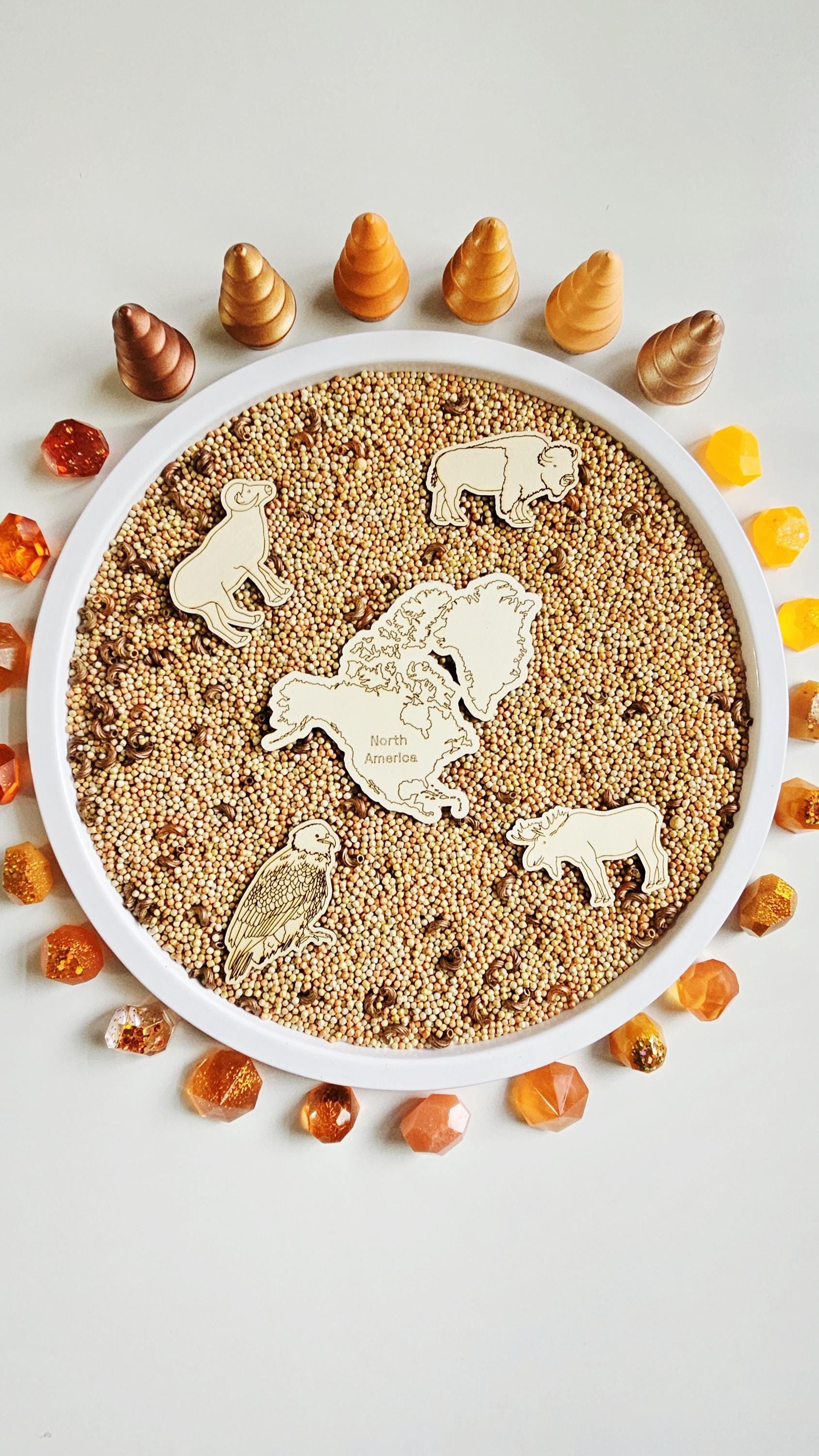 Continent and Animal Set(Hand Drawn)