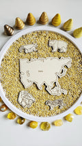 Continent and Animal Set(Hand Drawn)