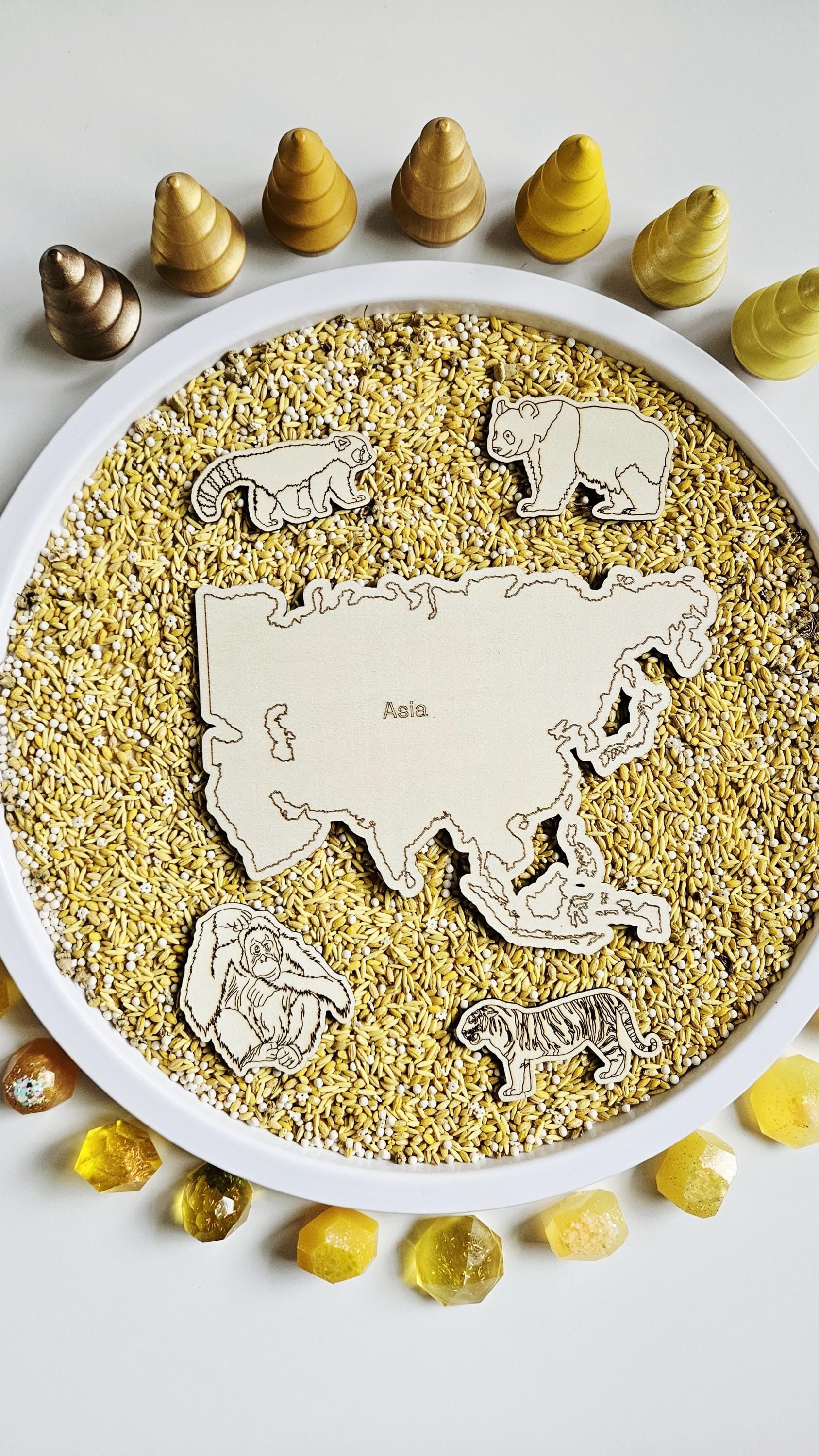 Continent and Animal Set(Hand Drawn)