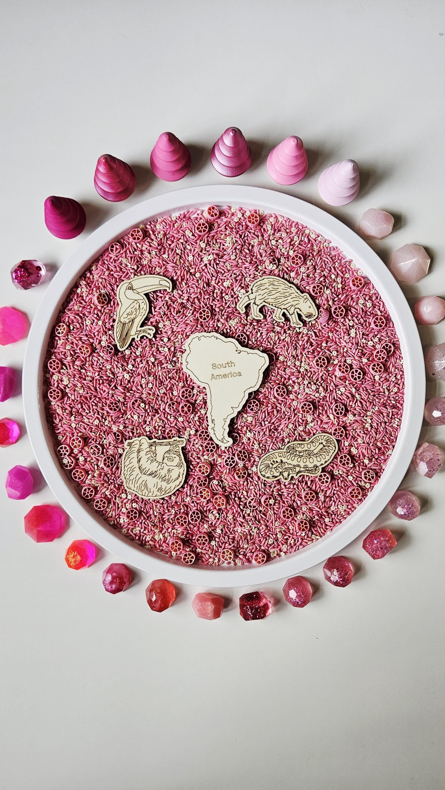 Continent and Animal Set(Hand Drawn)