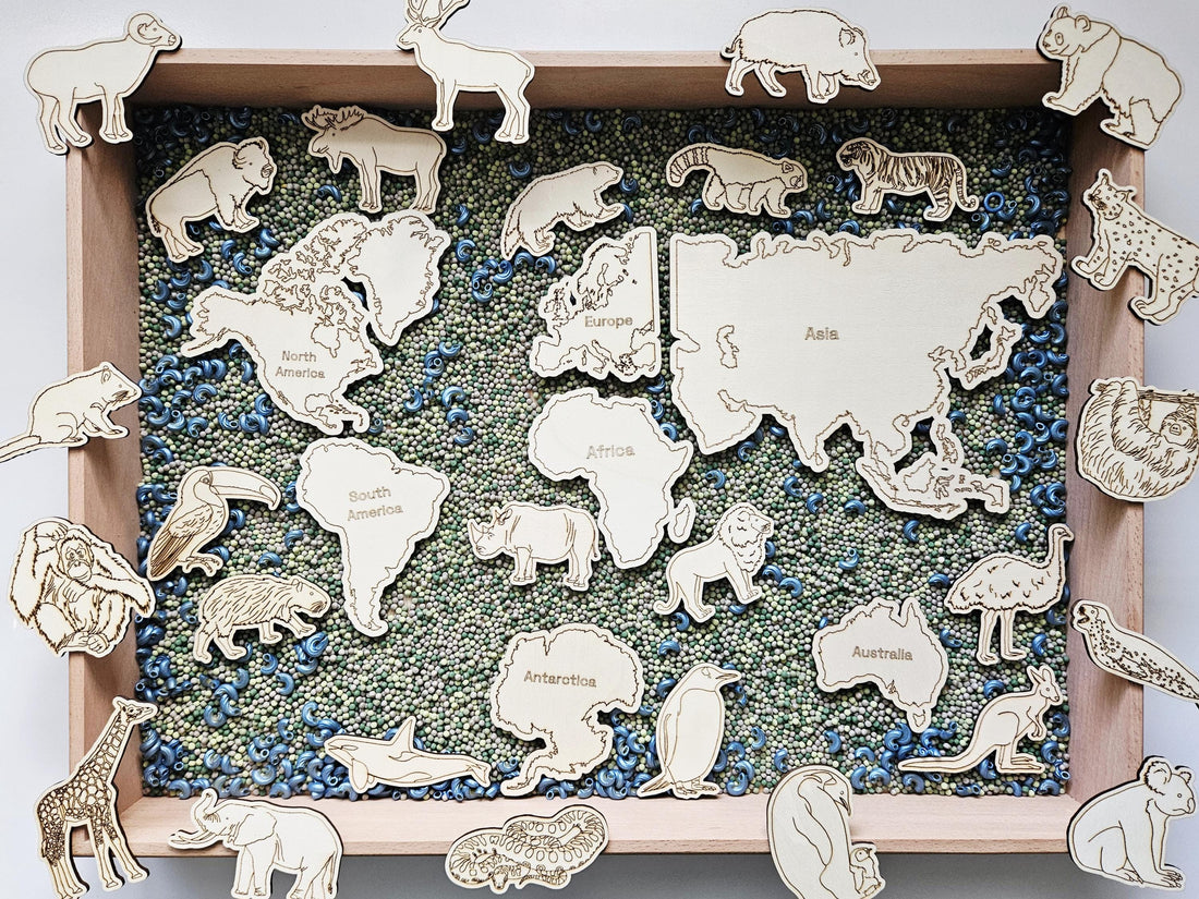 Continent and Animal Set(Hand Drawn)