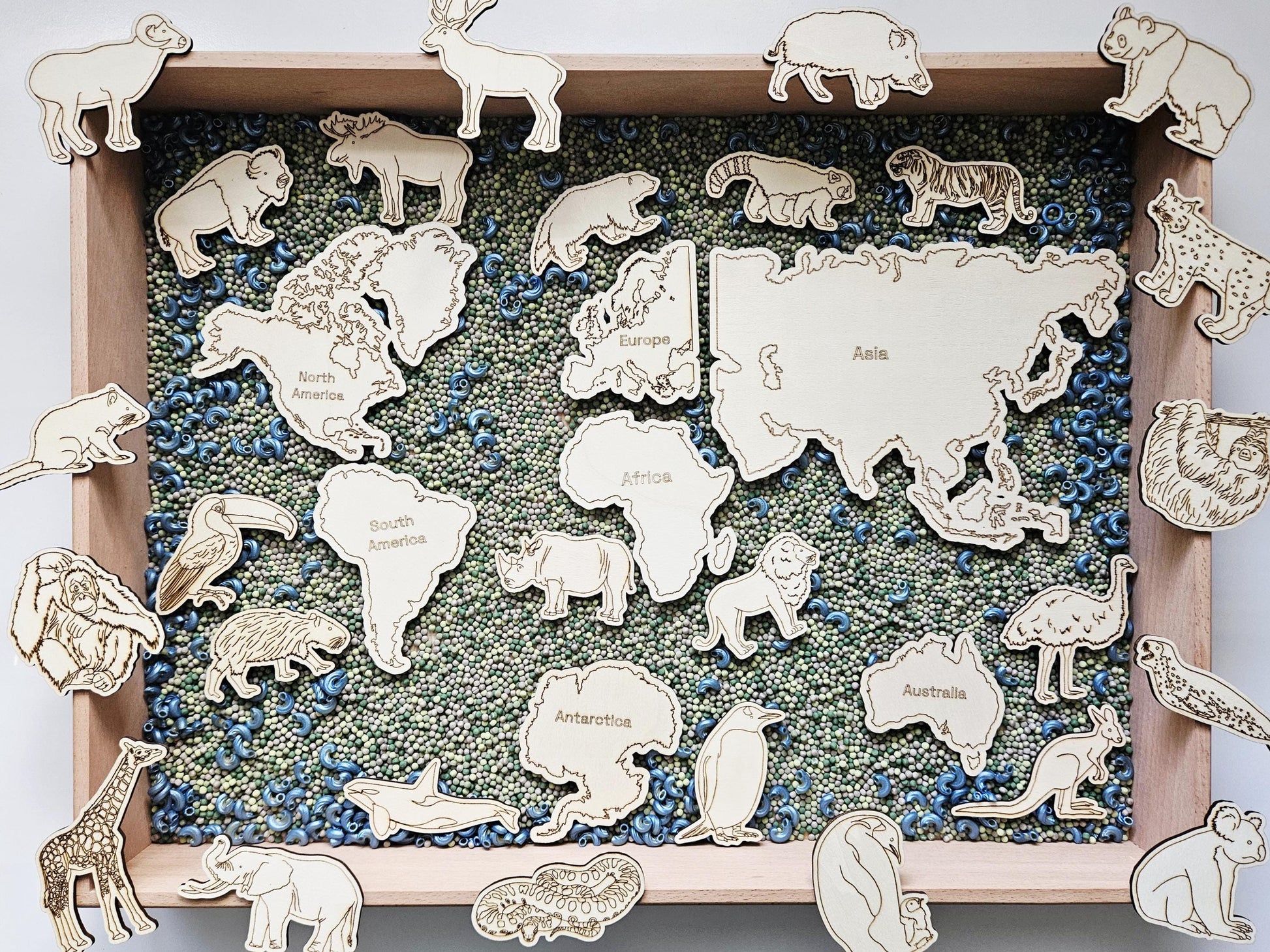 Continent and Animal Set(Hand Drawn)