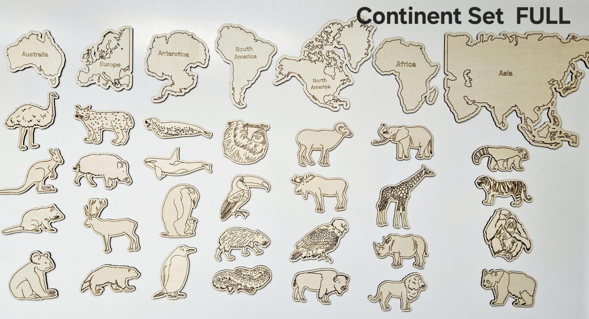 Continent and Animal Set(Hand Drawn)