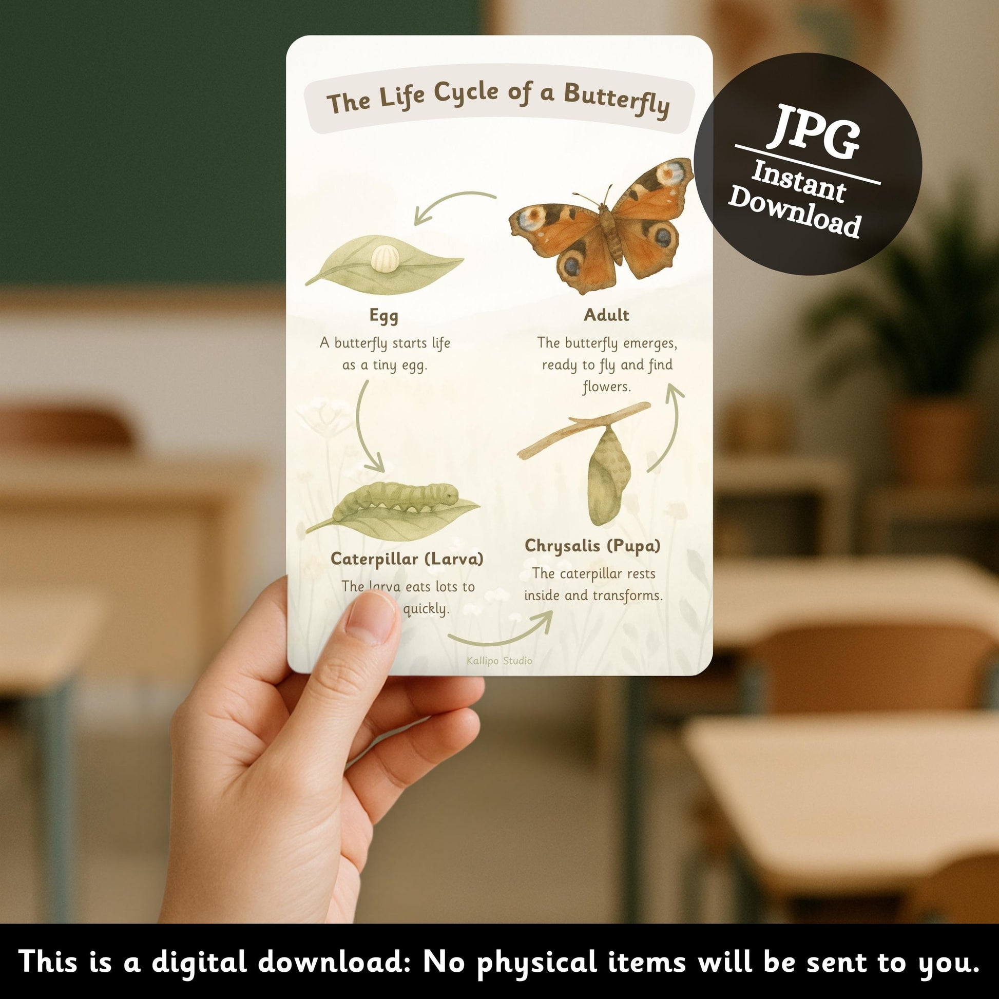 Butterfly Life Cycle Poster Educational Nature Print Butterfly Life Cycle Classroom Display EYFS Teacher Resource Exploring Nature BB01