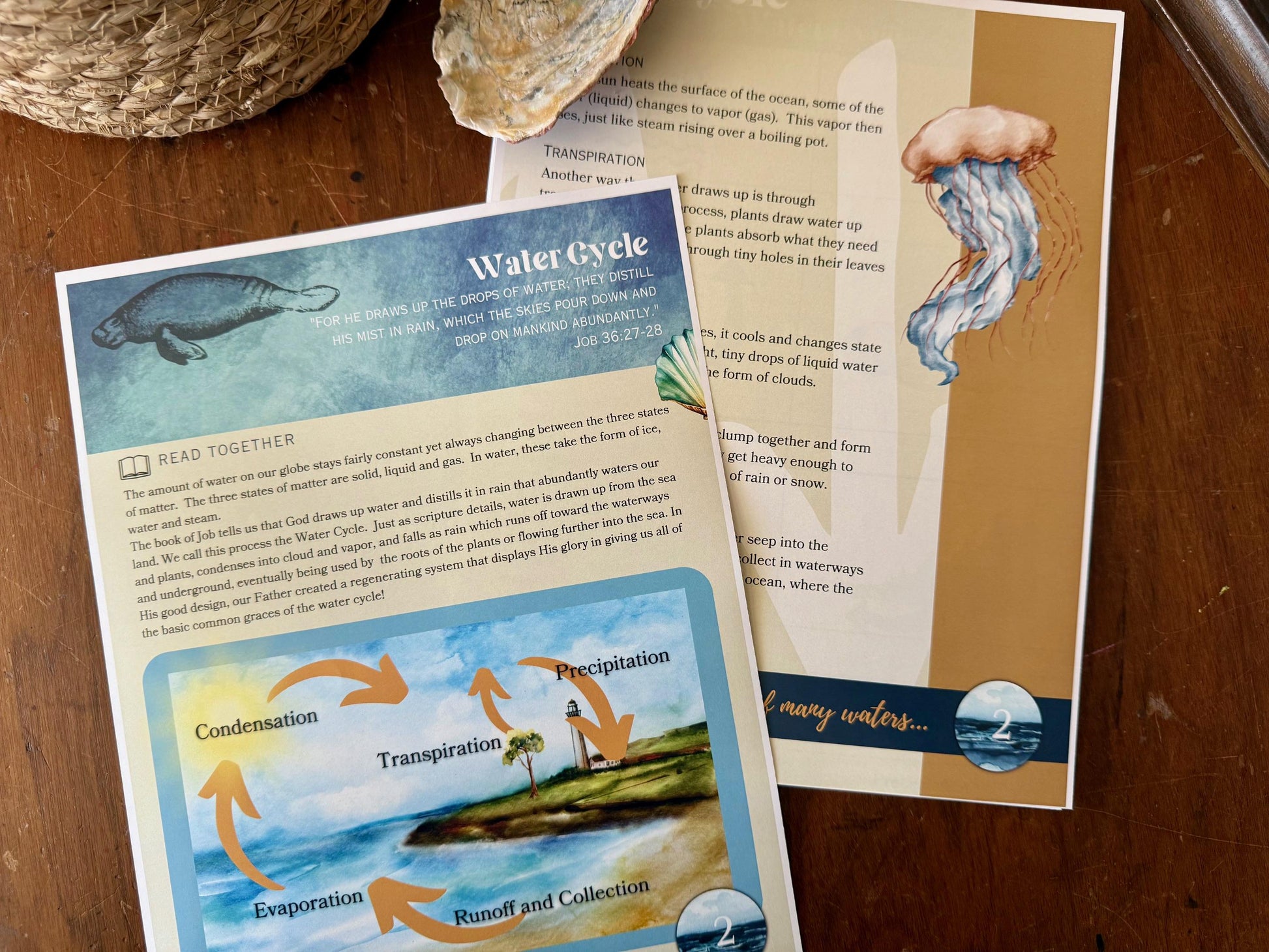 Homeschool Science OCEANS Unit- Oak & Sapling God of All Creation OCEANOGRAPHY Science Elementary k8 Homeschool Unit