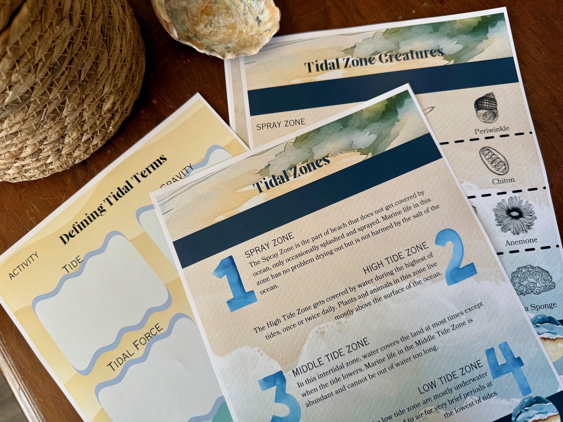 Homeschool Science OCEANS Unit- Oak & Sapling God of All Creation OCEANOGRAPHY Science Elementary k8 Homeschool Unit