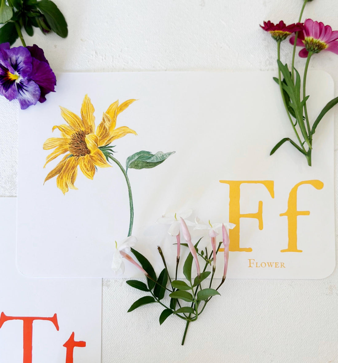 Vintage Alphabet Flashcards A–Z | Printable Letter Recognition Cards | Digital Classroom Resource