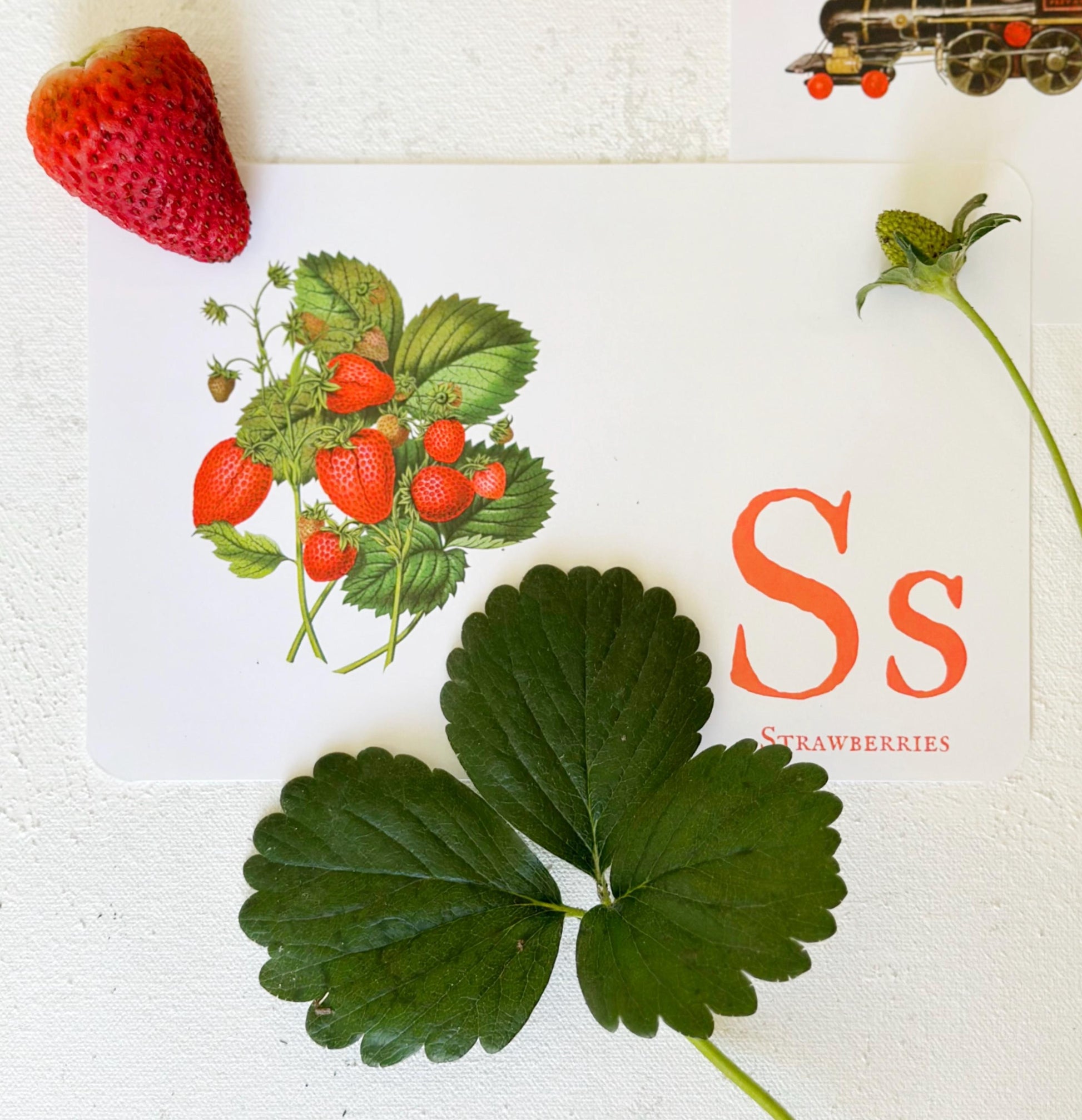 Vintage Alphabet Flashcards A–Z | Printable Letter Recognition Cards | Digital Classroom Resource